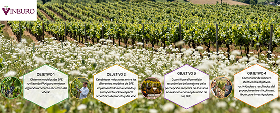 Objetivos del proyecto GO VINEURO